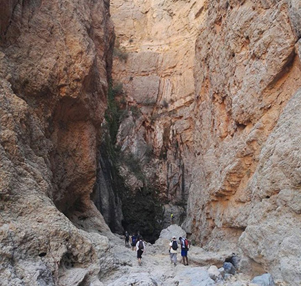 Wadi Manjal